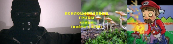 амф Абдулино