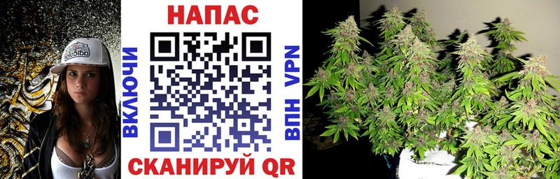 что такое   Батайск  Бошки Шишки план 